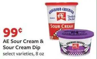 Fareway AE Sour Cream & Sour Cream Dip select varieties, 8 oz offer