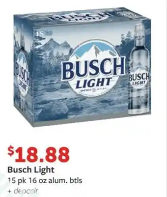 Fareway Busch Light offer