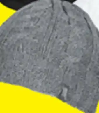 Big 5 Heat holders women's beanie offer