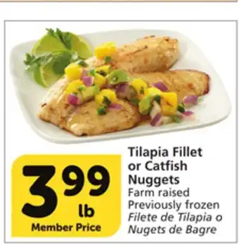 Vons Tilapia fillet or catfish nuggets offer