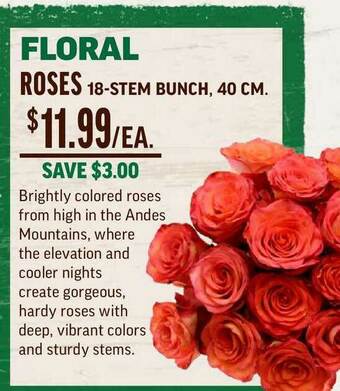 Central Market Roses 18-stem Bunch, 40 Cm offer