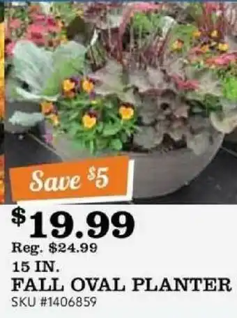 McLendon 15 In. Fall Oval Planter offer