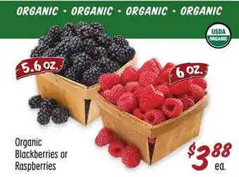 Sprouts Farmers Market Organic blackberries or raspberries offer