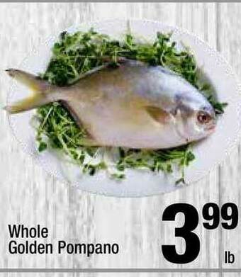 Super King Markets Whole Golden Pompano offer