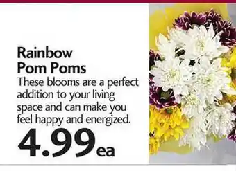 Sunset Foods Rainbow Pom Poms offer