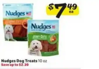 Winn Dixie Nudges Dog Treats offer