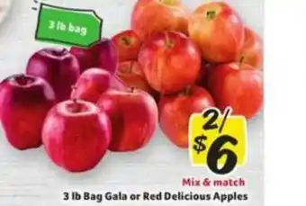 Winn Dixie 3 Lb Bag Gala Or Red Delicious Apples offer