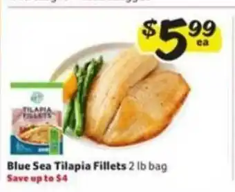 Winn Dixie Blue Sea Tilapia Fillets offer