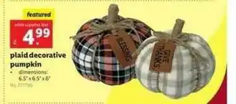 Lidl Plaid Decorative Pumpkin offer