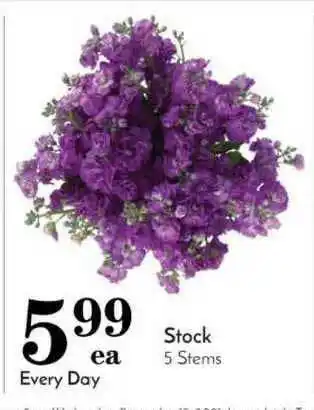 Pavilions Stock 5 Stems offer