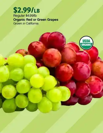 Plum Market Organic Red Or Green Grapes offer