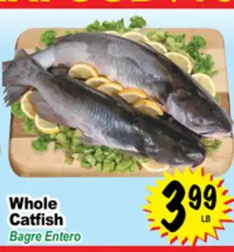 Superior Grocers Whole catfish offer