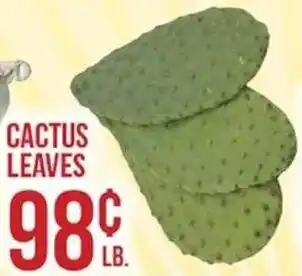 Payless CACTUS LEAVES offer