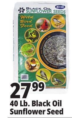 Ocean State Job Lot 40 lb. black oil sunflower seed offer
