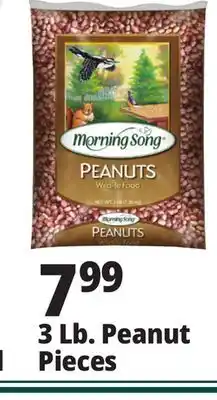 Ocean State Job Lot 3 lb. peanut pieces offer