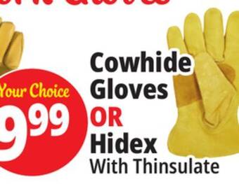 Ocean State Job Lot Cowhide gloves or hidex offer