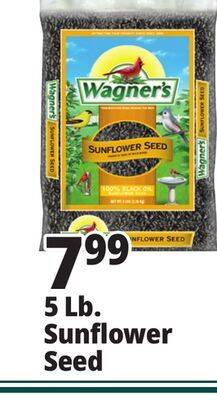 Ocean State Job Lot 5 lb. sunflower seed offer