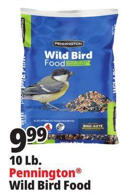 Ocean State Job Lot Pennington wild bird food, 10 lbs offer