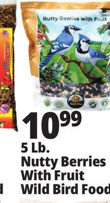 Ocean State Job Lot Bird pro nutty berries with fruit wild bird food, 5 lbs offer