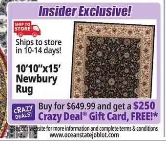 Ocean State Job Lot 10'10x15' newbury rug offer