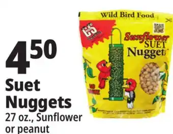 Ocean State Job Lot C&s sunflower suet nuggets, 27 oz offer