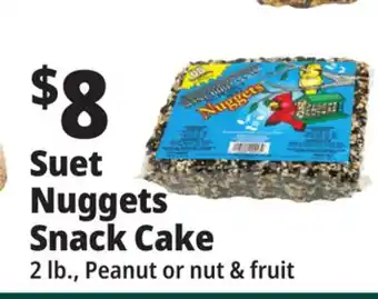 Ocean State Job Lot Suet nuggets snack cake offer
