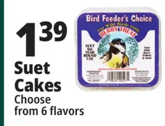 Ocean State Job Lot Bird feeder's choice high energy suet, 11 oz offer
