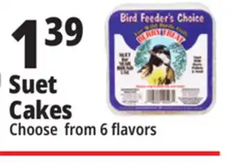 Ocean State Job Lot Suet cakes offer