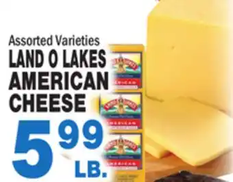 Bravo Supermarkets Land o lakes american cheese offer