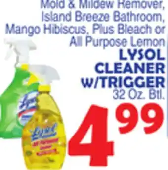 Bravo Supermarkets Lysol cleaner w/trigger offer