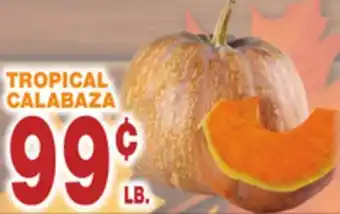 Bravo Supermarkets Tropical calabaza offer