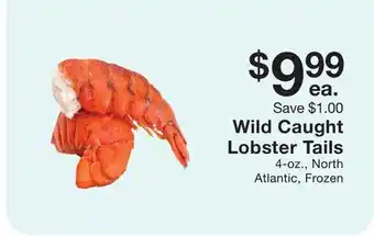 Fairway Store Market Wild caught lobster tails offer