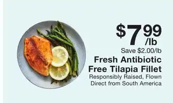Fairway Store Market Fresh antibiotic free tilapia fillet offer