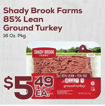 DeCicco & Sons Shady brook farms 85% lean ground turkey offer