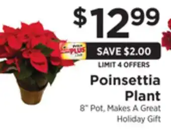 ShopRite Poinsettia plant offer