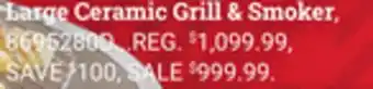 Ace Hardware Large ceramic grill & smoker offer