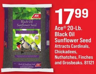Ace Hardware Ace 20-lb. black oil sunflower seed offer
