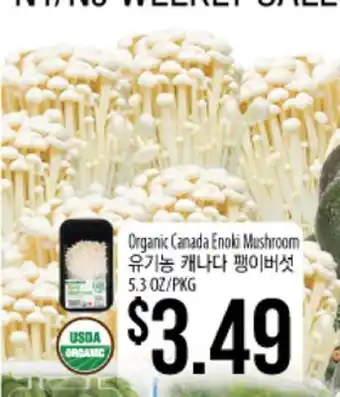 Hmart Organic canada enoki mushroom offer