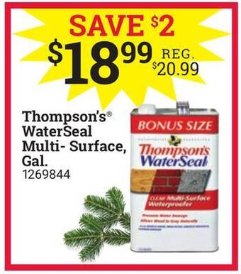 Ace Hardware Thompson's waterseal multi-surface, gal offer
