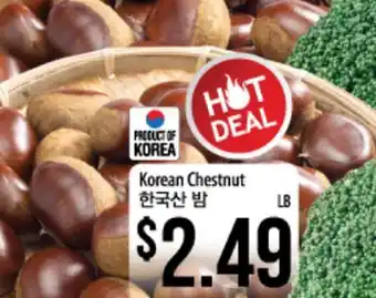 Korean chestnut