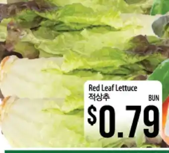 Hmart Red leaf lettuce offer