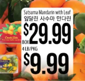 Hmart Satsuma mandarin with leaf offer