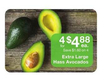 Fairway Store Market Extra Large Hass Avocados offer