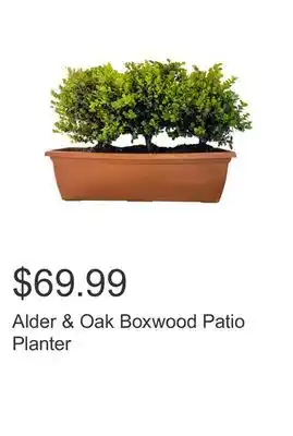 Costco Alder & oak boxwood patio planter offer