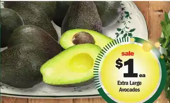 Meijer Extra large avocados offer