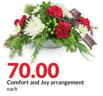 Hy-Vee Comfort and Joy arrangement offer