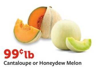 Fareway Cantaloupe or Honeydew Melon offer