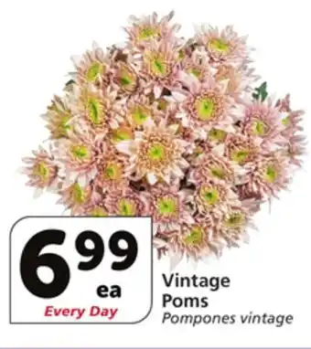 Albertsons Vintage poms offer