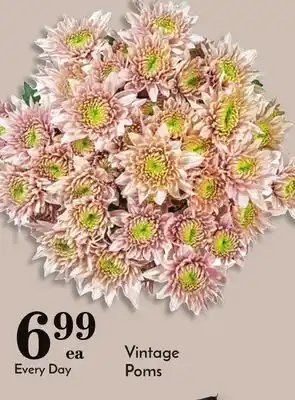 Pavilions Vintage poms offer