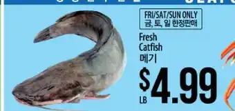 Hmart Fresh catfish offer